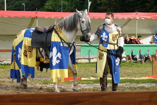 但通过调整 但通过调整