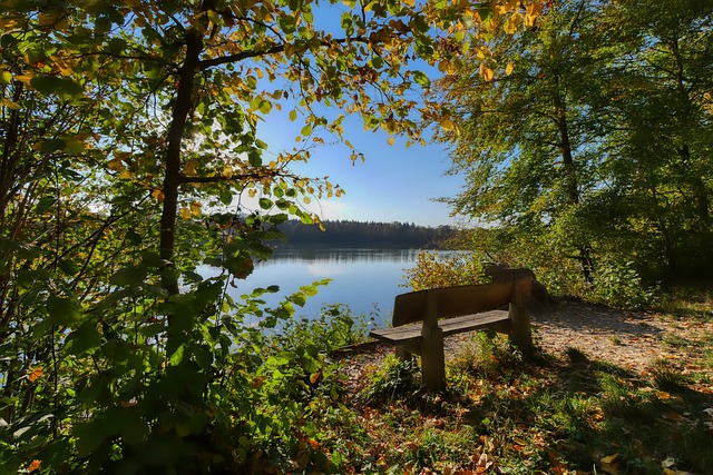 夏普认为 夏普认为