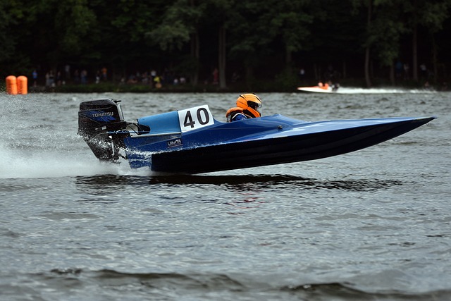 的成功因素 的成功因素